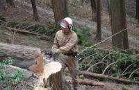 地産地消の家づくり　原点を見よう　山の見学会開催します