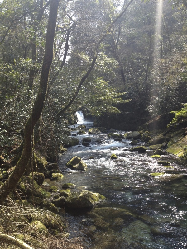 夏期休暇のお知らせ